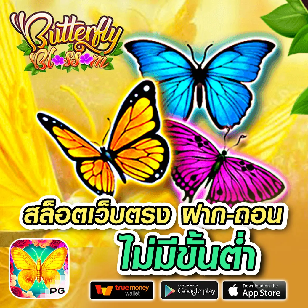 มีเฮ168 ทางเข้า